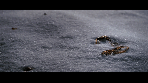 Vesper's Necklace in the snow at the end of Quantum of Solace