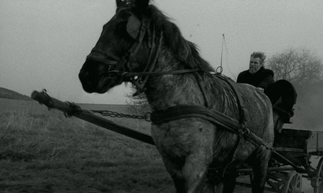 The_Turin_Horse_Best_of_2012