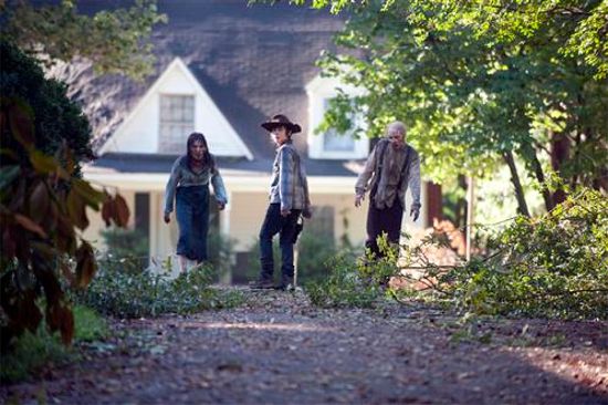the-walking-dead-after