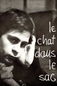 chat_dans_le_sac