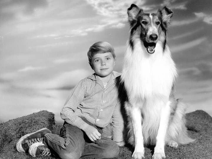 Good Boy! 10 of TV’s Top Dogs