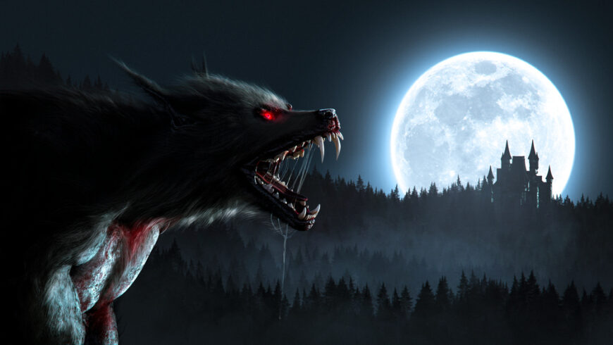Werewolf Werewolf