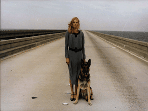 Lucio Fulci’s ‘The Beyond’ one of the finest of Italian genre cinema