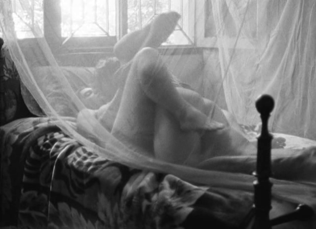 Tabu_2012_Miguel_Gomes_12