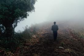 Apichatpong Weerasethaku's 'Vampire',