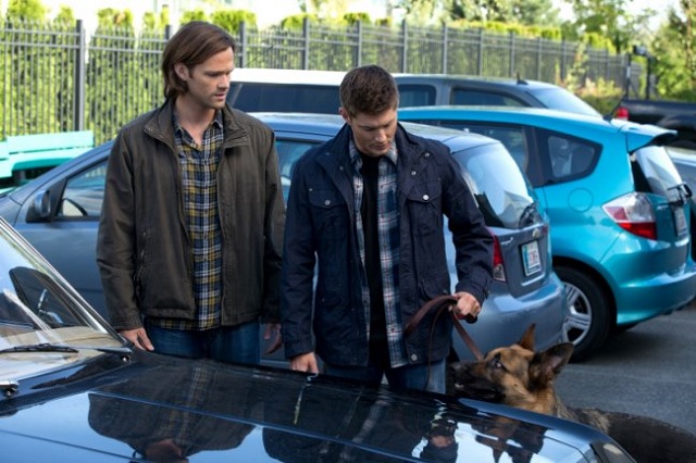 Supernatural, Season 9, Episode 5: “Dog Dean Afternoon” puts Dean’s compassionate side on display