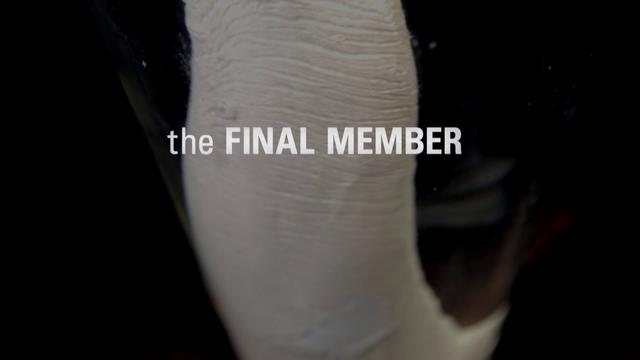 ‘The Final Member’ is a film you’re unlikely to forget