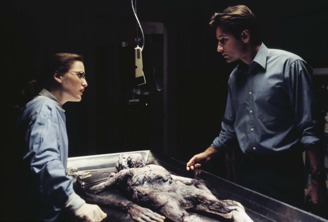 Gillian Anderson & David Duchovny in The X-Files Ep 1.01 'Pilot'