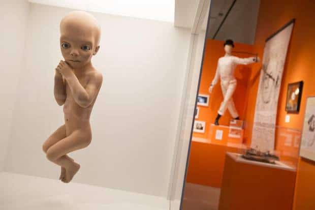 kubrick30rv5
