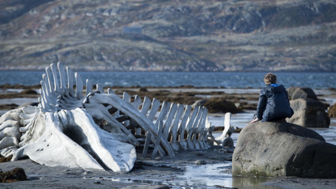Leviathan Andrei Zvyagintsev