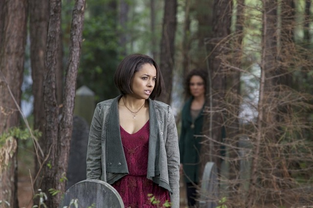 The Vampire Diaries, Ep 5.22: “Home” bids farewell to some notable characters