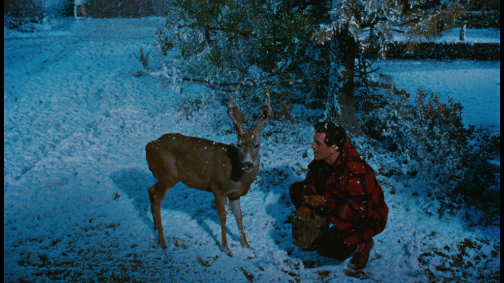 large_all_that_heaven_allows_08_blu-ray_