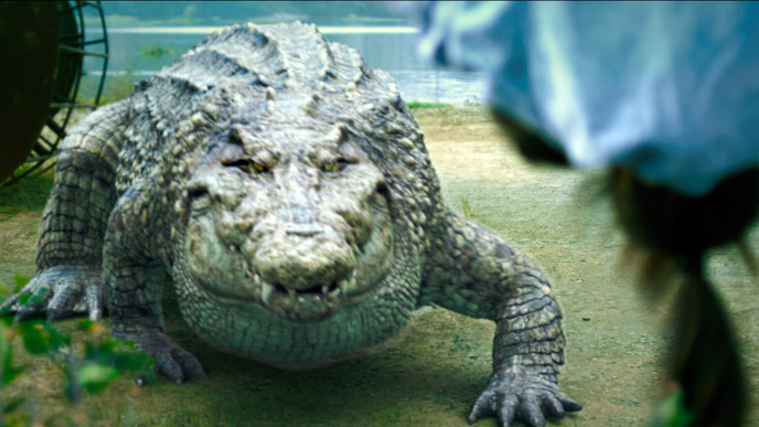 photo-million-dollar-crocodile-2012-1