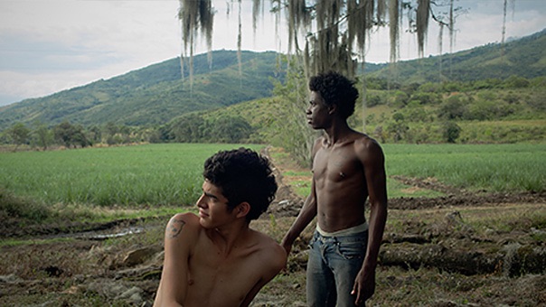 Tokyo 2014: ‘Los Hongos’ succeeds in conveying a vivid movement in Colombia’s youth culture