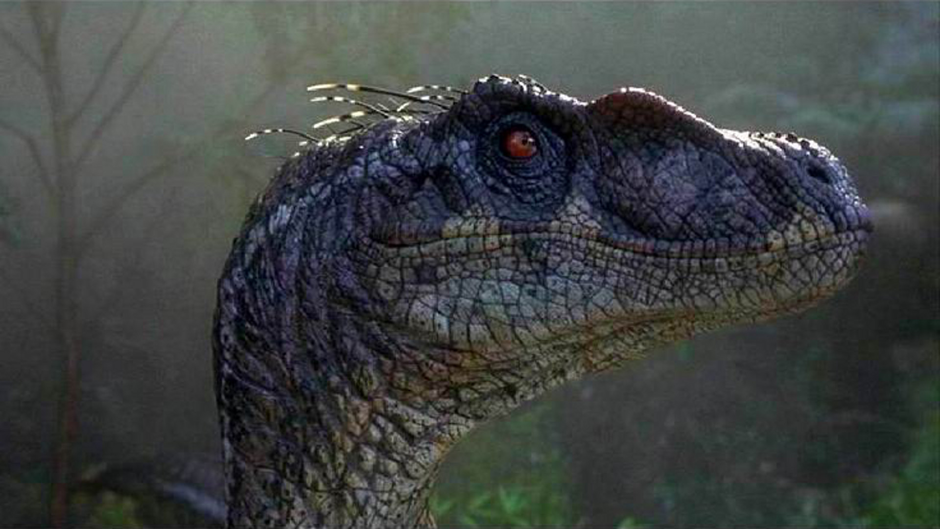 ‘Jurassic Park III’ brings the original trilogy to an end with a dull, uneventful thud