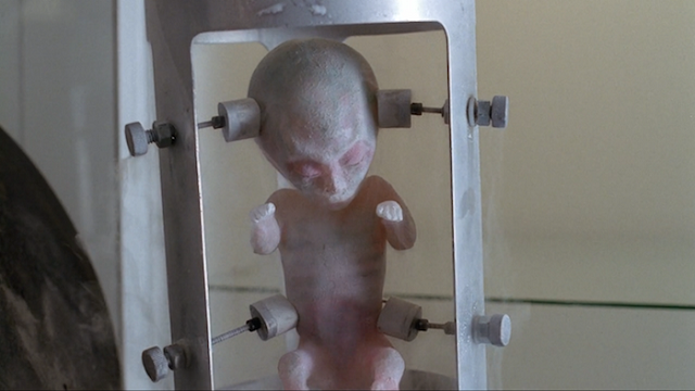 The X-Files S01E24