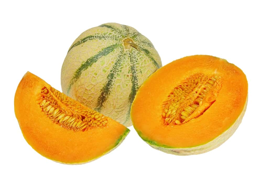 Charentais melon