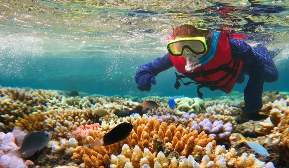 Great Barrier reef