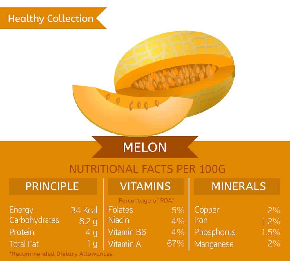 Melon nutrition facts chart