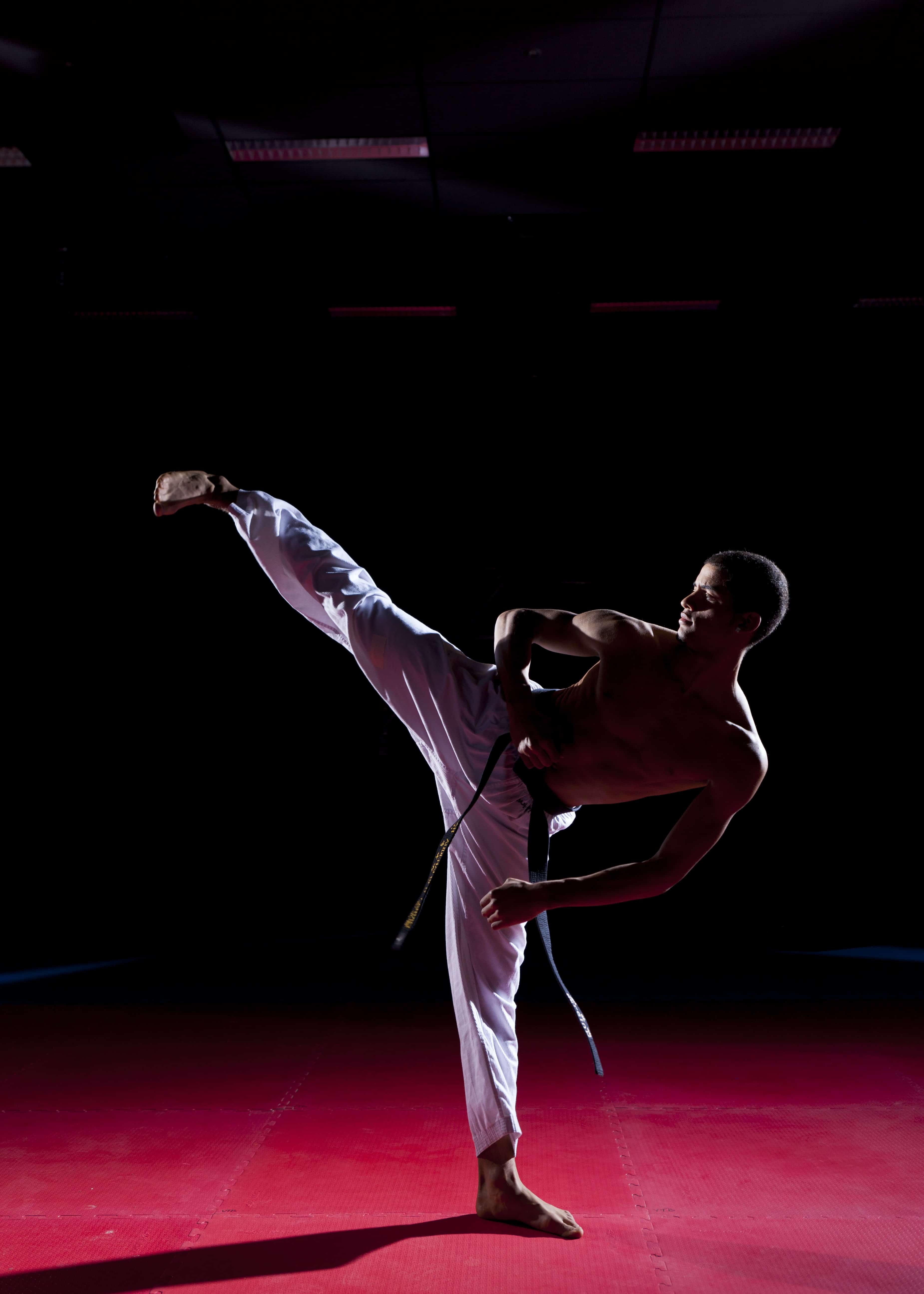 Martial arts how to kick
