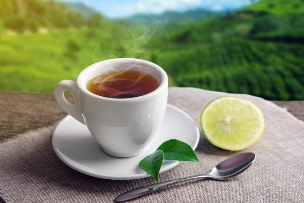 A cup of tea and a slice of lemon with the Cameron Highlands as background.