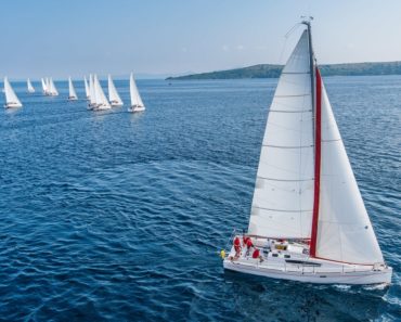 A sail boat with white mast leads the way ahead of its competitors.