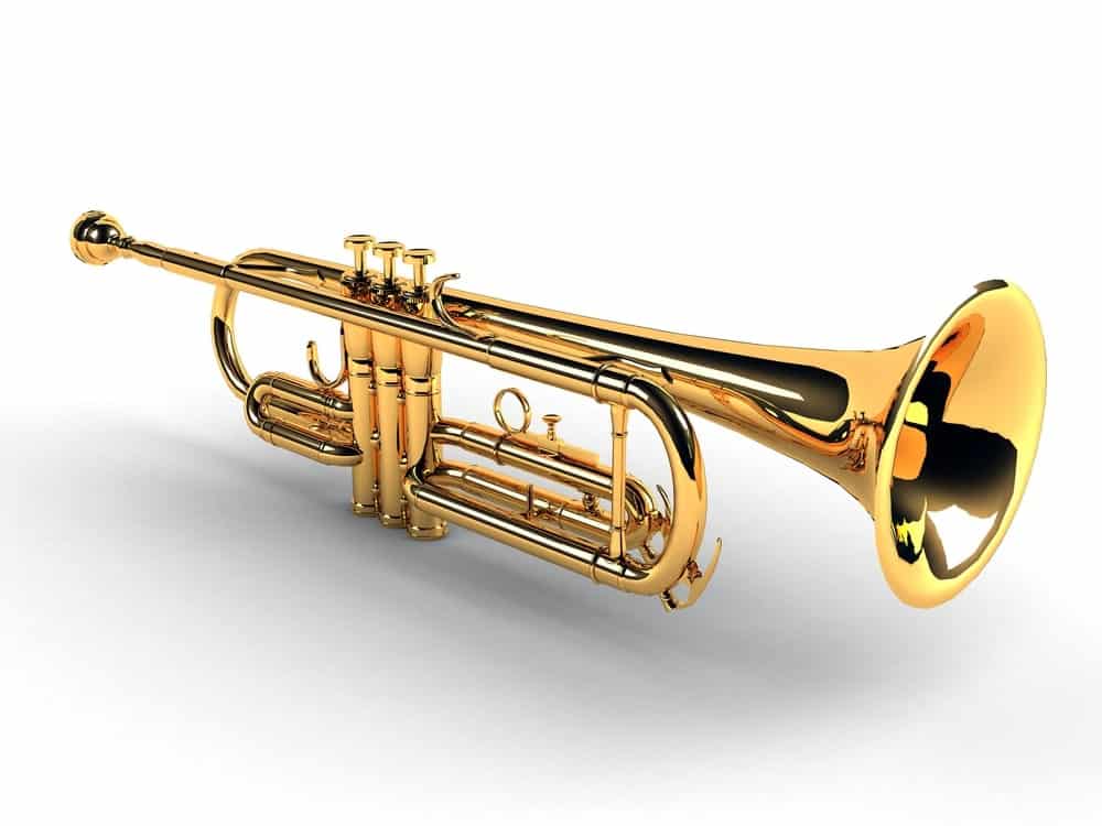 9 Different Types of Trumpets (Plus Interesting Facts)