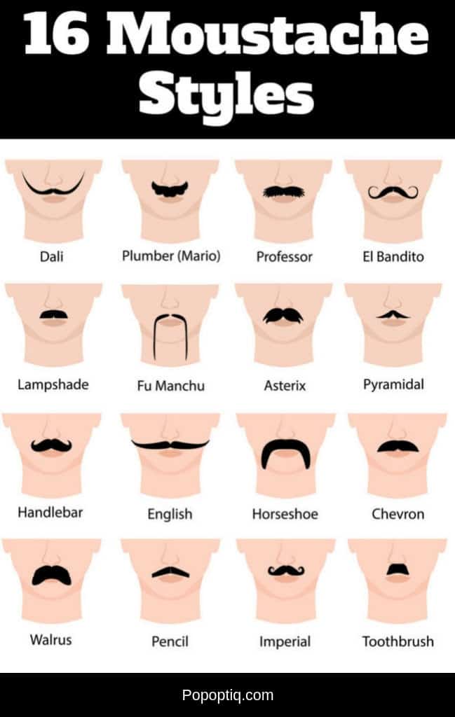 Chart setting out 16 moustache styles