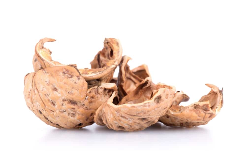 Walnut husk as a chemical free alternative to hair dye
