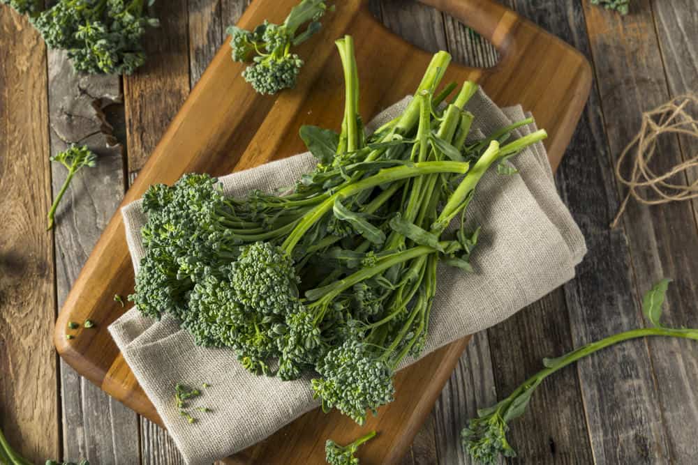 Broccolini