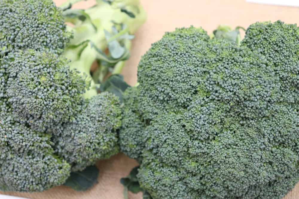 Marathon broccoli
