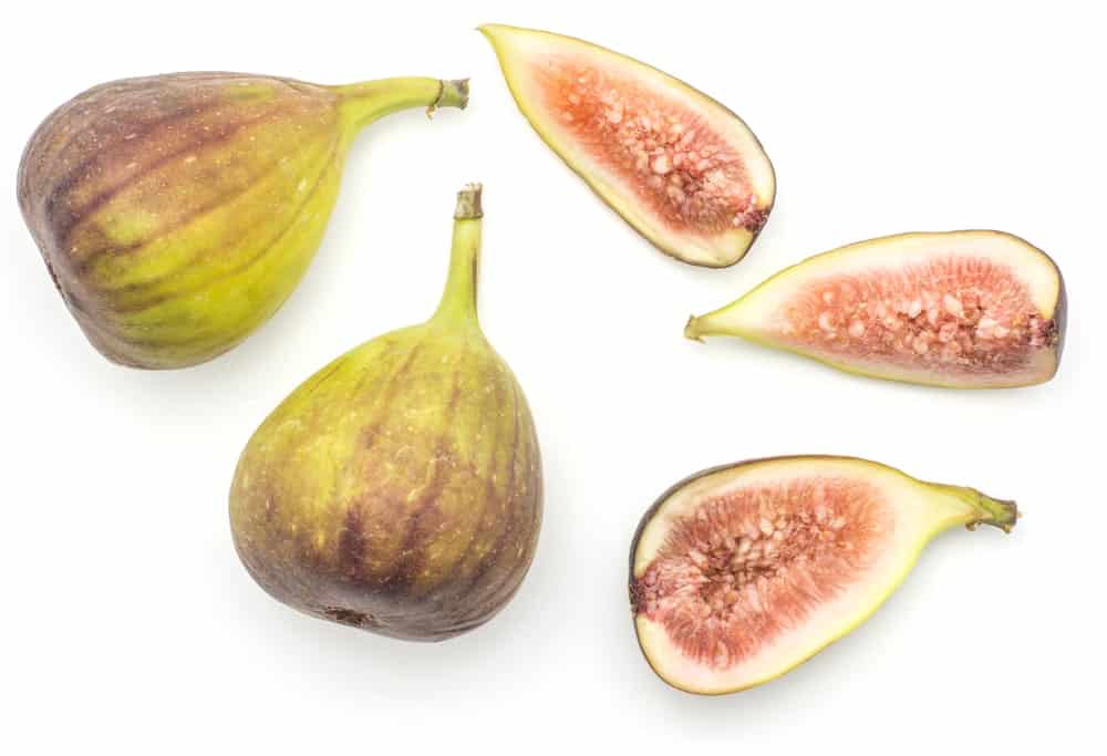 11 Different Types of Fig Trees (Plus Interesting Facts)