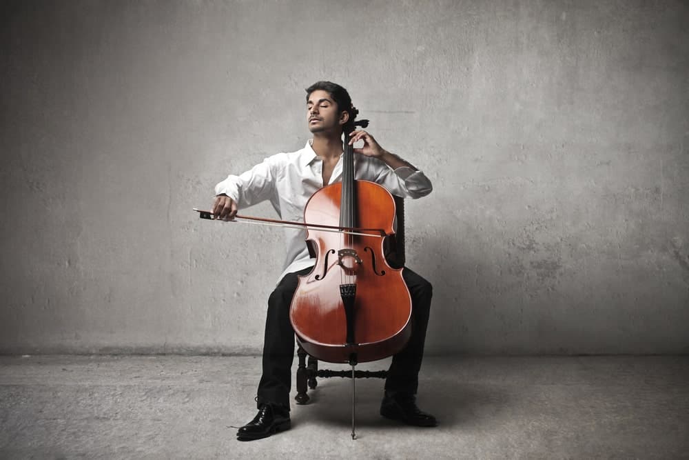12 Different Types of Cellos