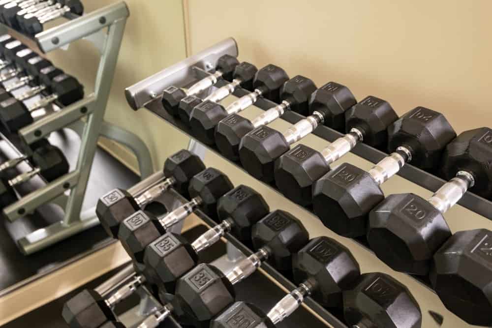 Fixed rubber dumbbells in a gym.
