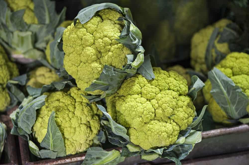 Green Cauliflower