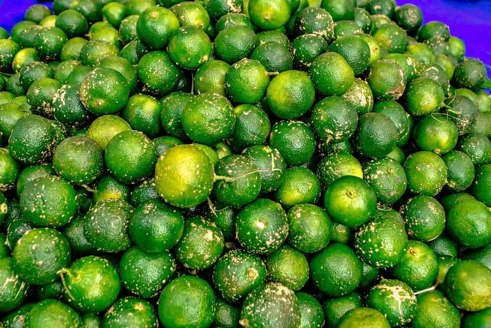 20 Different Types of Limes