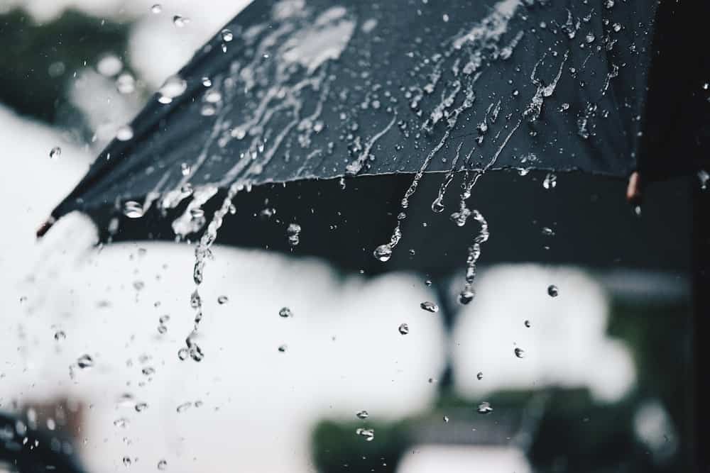 13 Different Types of Umbrellas