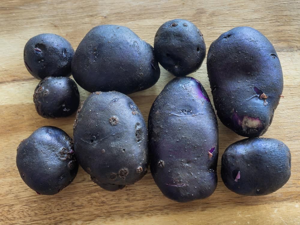 19 Different Types of Potatoes