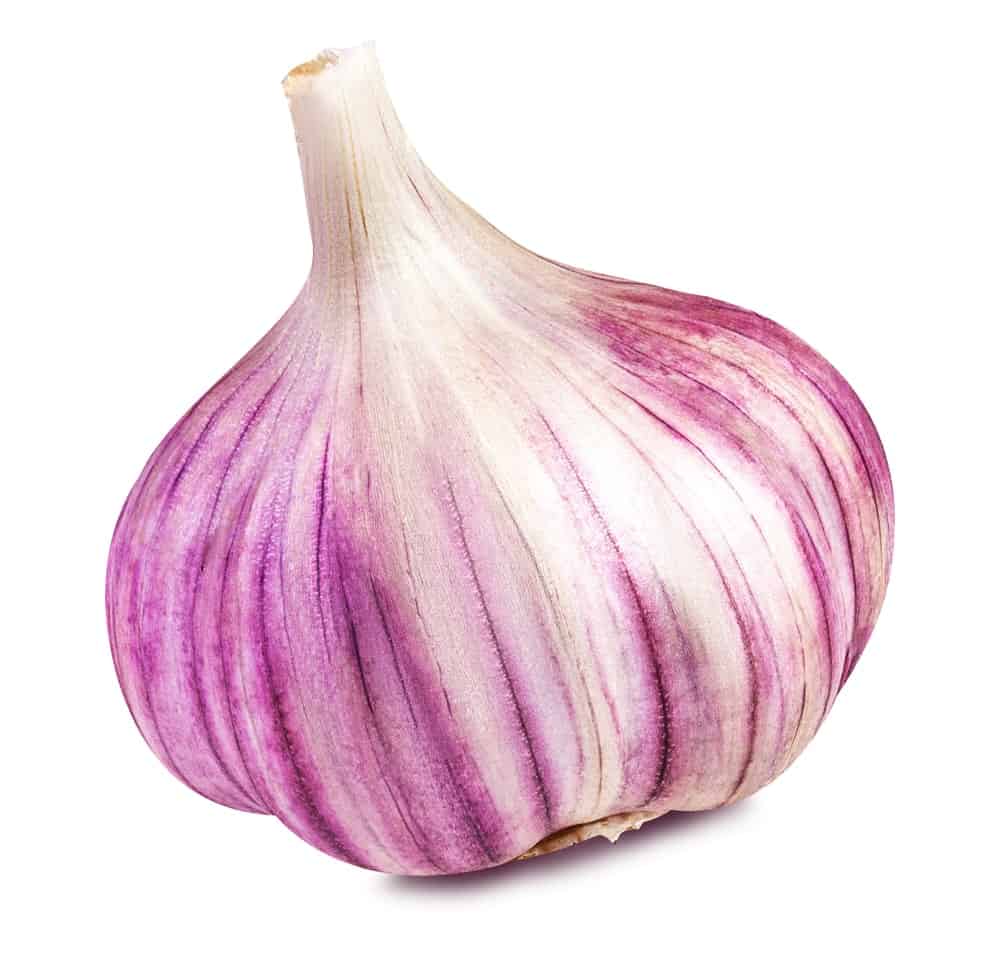 10 Different Types of Garlic