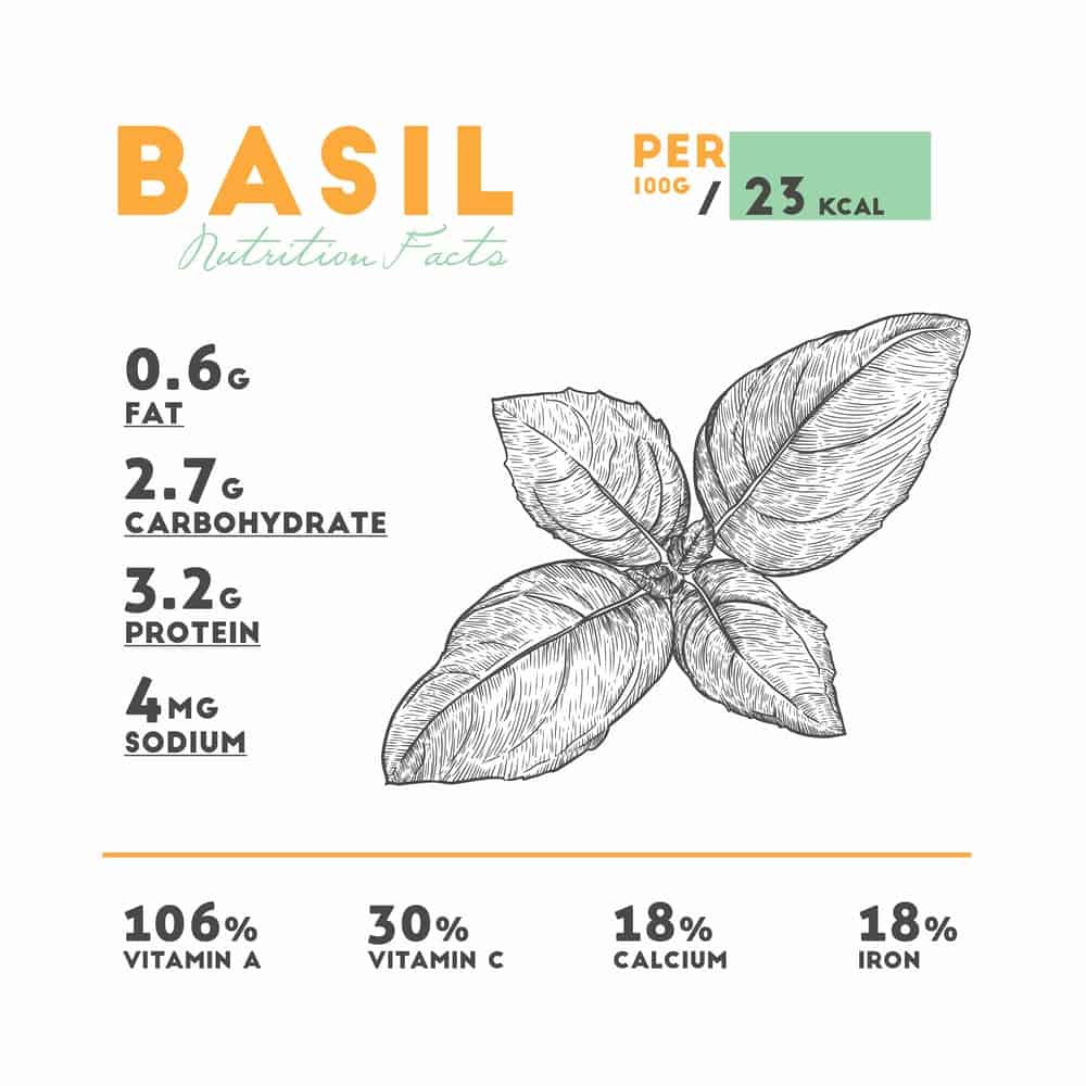 Fresh Basil Nutrition Facts Chart