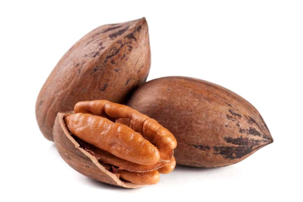 12 Different Types Of Pecans saucisson-truff-gourmandise-de-luxe-by-kaspia