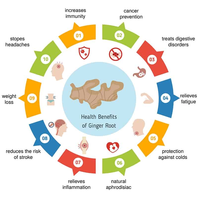 Ginger Nutrition Facts Chart