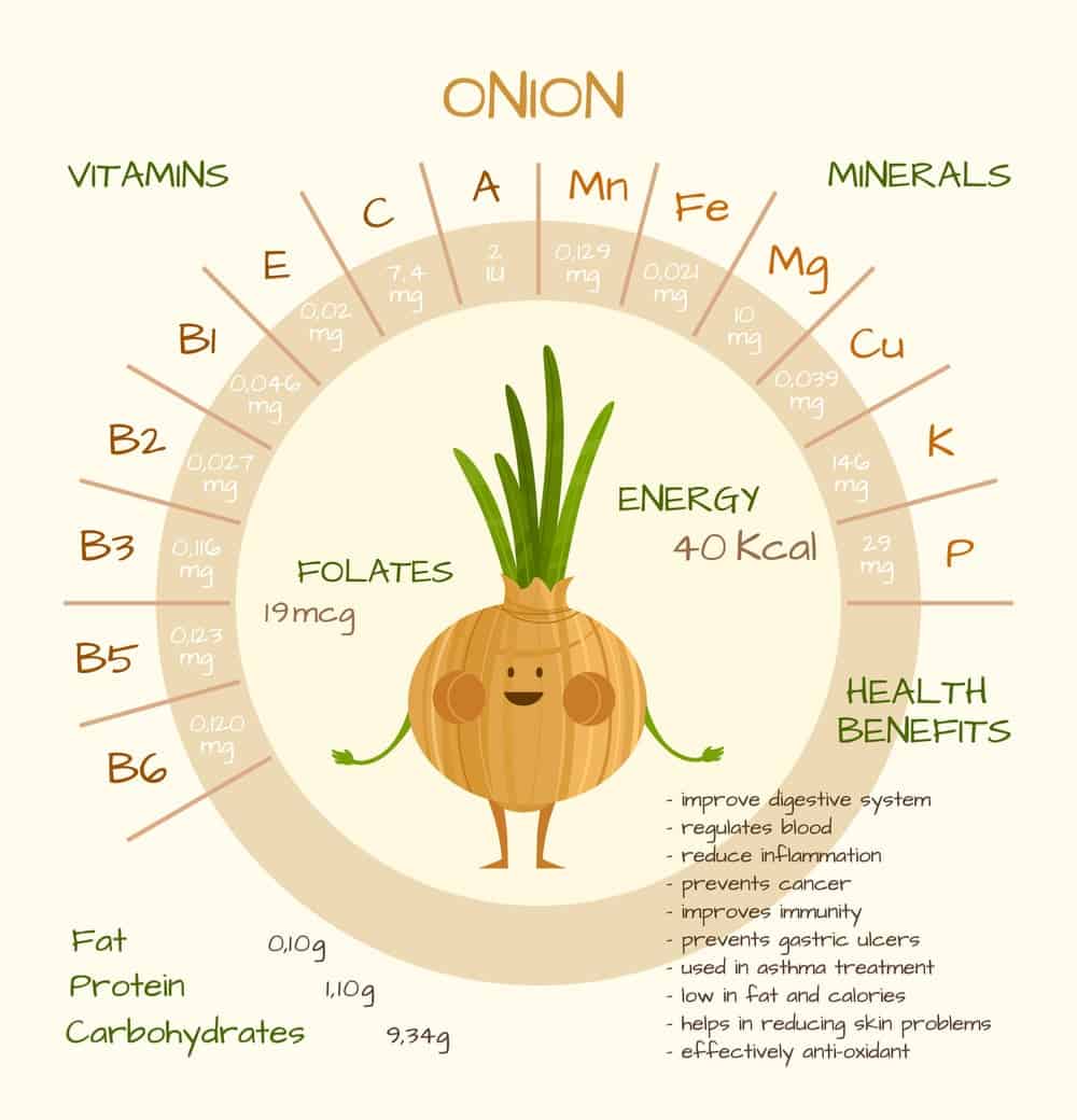 Onion Nutrition Facts Chart