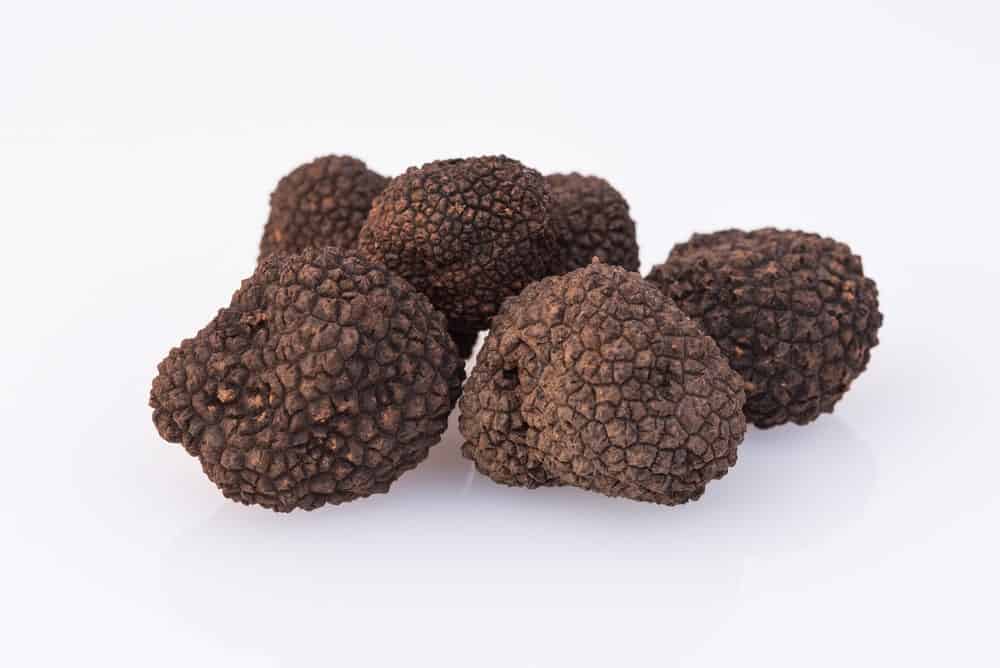 Périgord/Spoleto Truffle