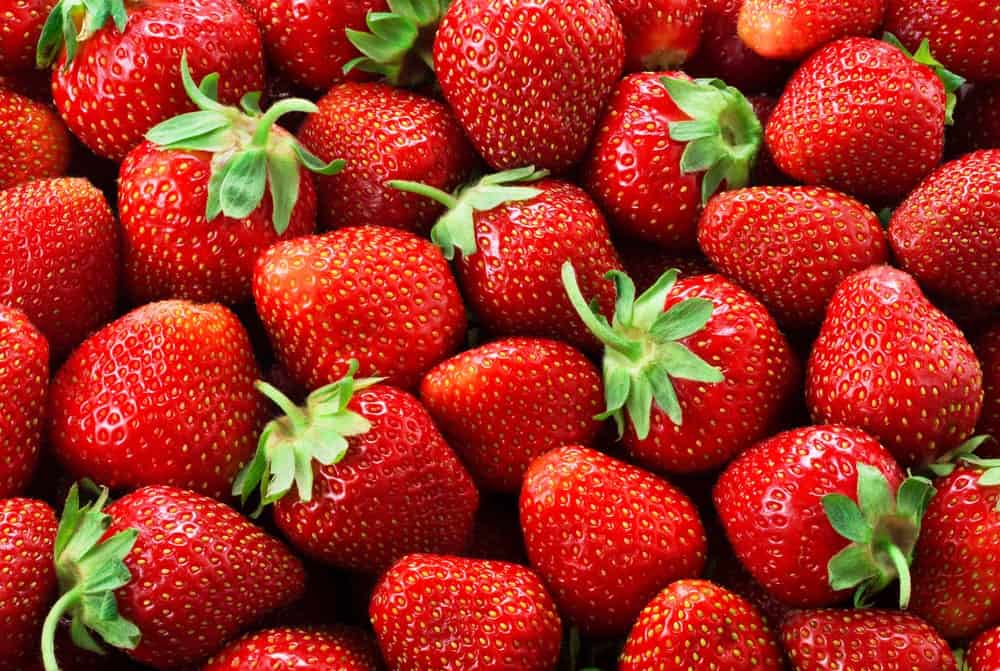 Strawberry Variety Comparison Chart