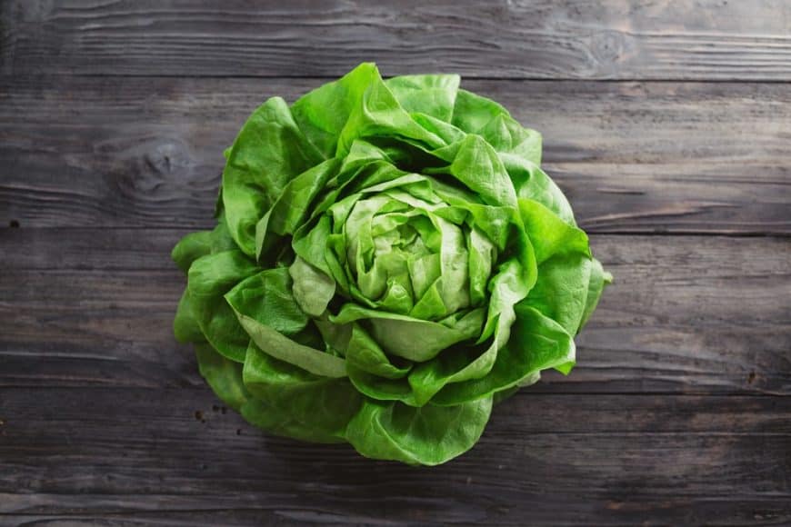 A lettuce head
