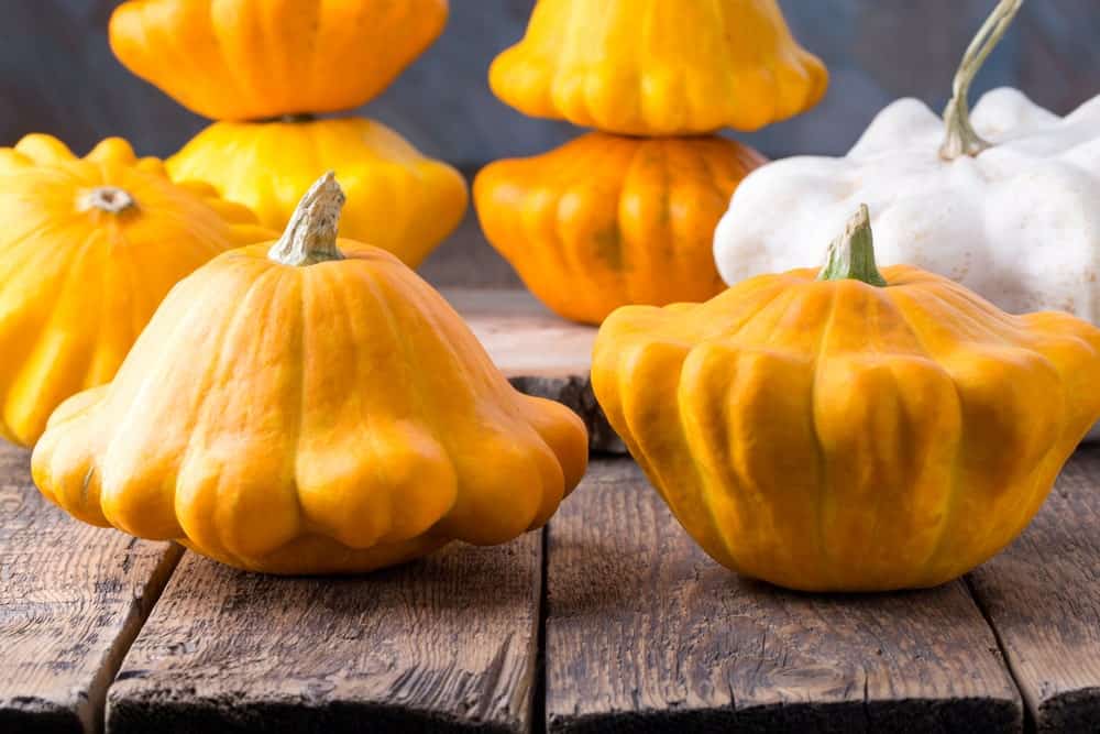 Yellow pattypan squash