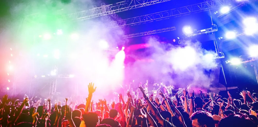 People having fun at the concert