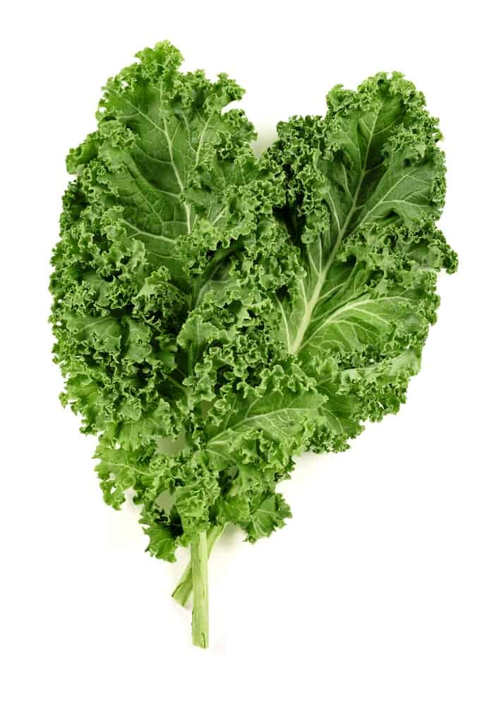 Fresh Dark Green-Hued Kale Leaves