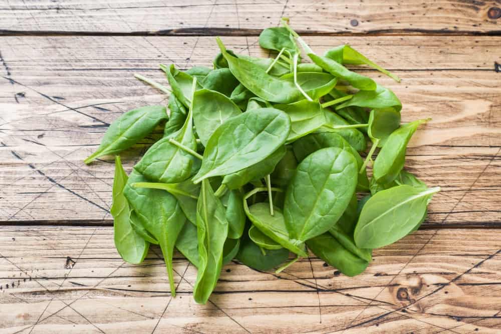 Fresh Spinach Leaves